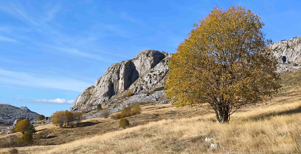 Jesenja bajka na Zelengori