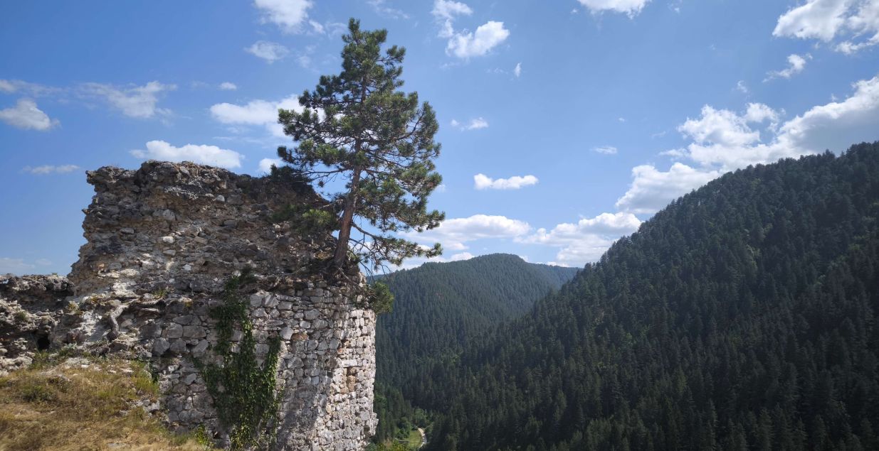 Donji Vakuf: Pametni i knjiški ljudi iz doline Vrbasa