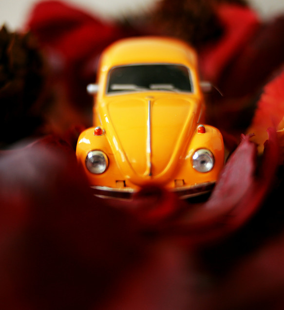 Protekli mjesec u BIHAMK-u: septembar, 2025. godina