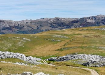 Miholjsko ljeto Jima Morrisona