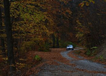 Vlažno lišće na cesti opasno je kao led!