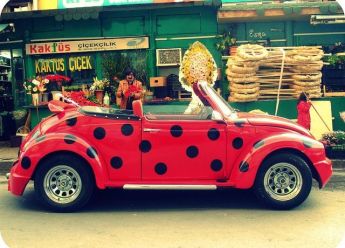 Beatlle Buggy: Harrisone Forde, nemoj vruć vode!