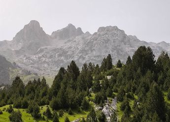 Buđenje stražara