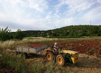 Uticaj Tome Vinkovića i Harryja Fergusona na agrarnu revoluciju u Hercegovini
