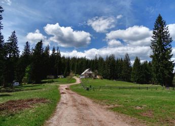 Čuvari Zvijezde