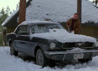 Jadi mladog Mustanga