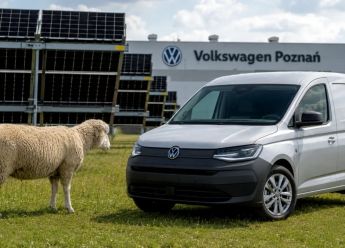 Umjesto kosilica Volkswagen u Poljskoj angažovao 100 ovaca